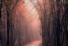 五六月份从沈阳去抚远熊瞎子岛，有好的攻略吗，求大神指导，初步打算高铁过去然后租车？ lol盲僧玩法