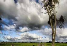 绿茵信仰最佳阵容如何搭配?