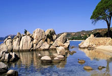 三国志10攻略心得整合?