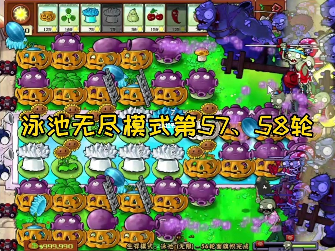 植物大战僵尸生存模式(泳池)无尽版