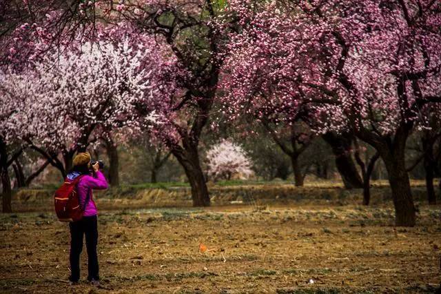 南京江宁好玩的地方杏花村夏季游玩攻略
