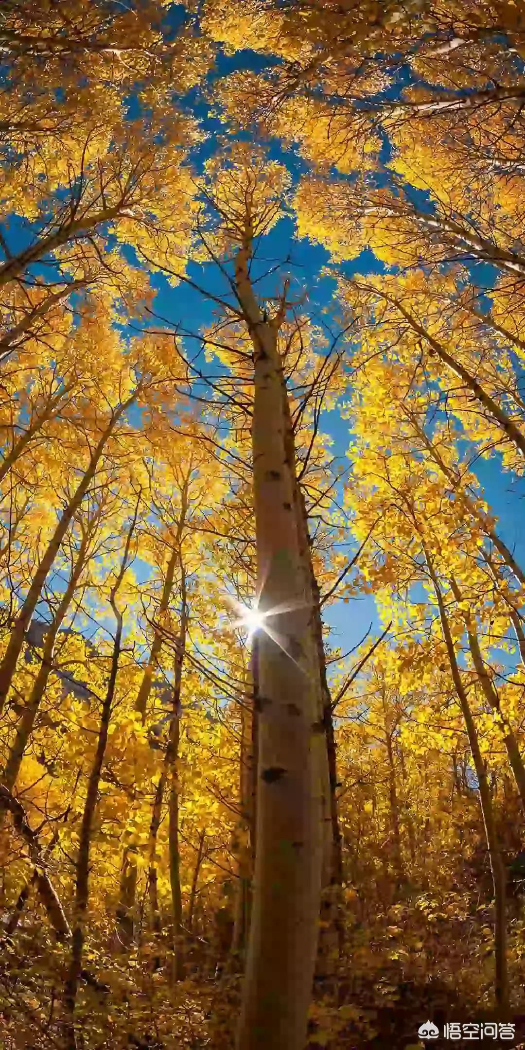 有哪些像回声迷踪这样的大型科幻剧情解谜游戏? 回声迷踪攻略 第三章