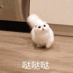 《塞尔达传说:荒野之息》初期赚钱方法大全怎么赚钱? 塞尔达赚钱攻略大全