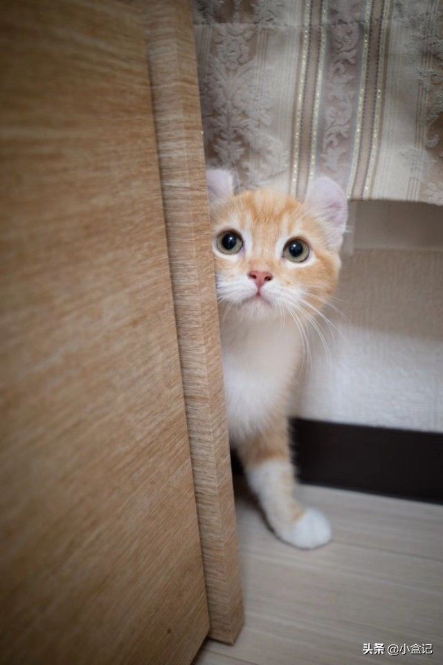 快穿!攻略男配的好文!求急? 男神攻略游戏该账号不存在